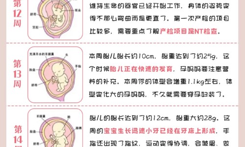 树花有什么功效与作用网 - 树花图片,鉄树花的药用功效