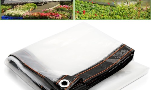 树花有什么功效与作用及禁忌-树花有什么功效与作用网 - 树花图片,鉄树花的药用功效